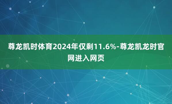 尊龙凯时体育2024年仅剩11.6%-尊龙凯龙时官网进入网页