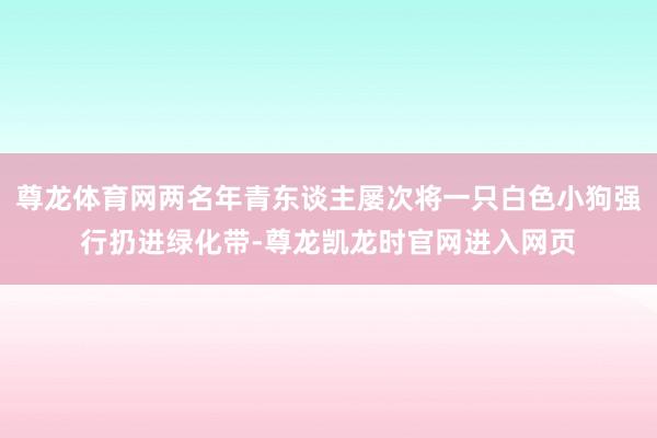 尊龙体育网两名年青东谈主屡次将一只白色小狗强行扔进绿化带-尊龙凯龙时官网进入网页