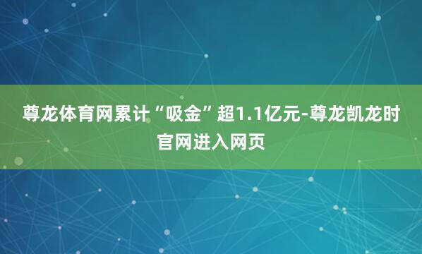 尊龙体育网累计“吸金”超1.1亿元-尊龙凯龙时官网进入网页